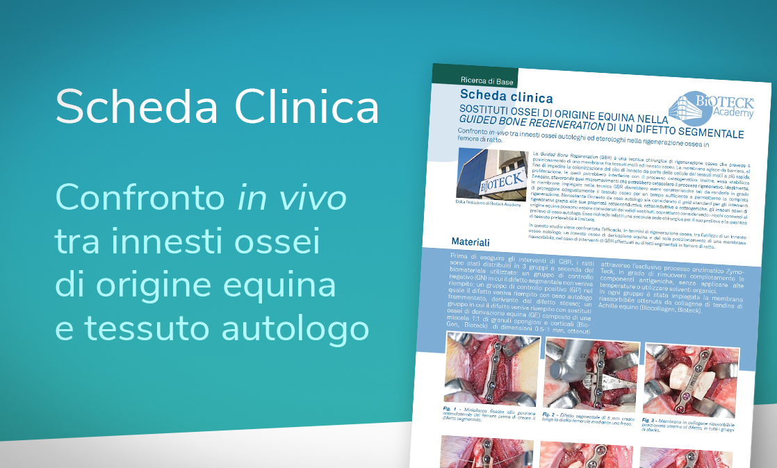 Bioteck innesti ossei