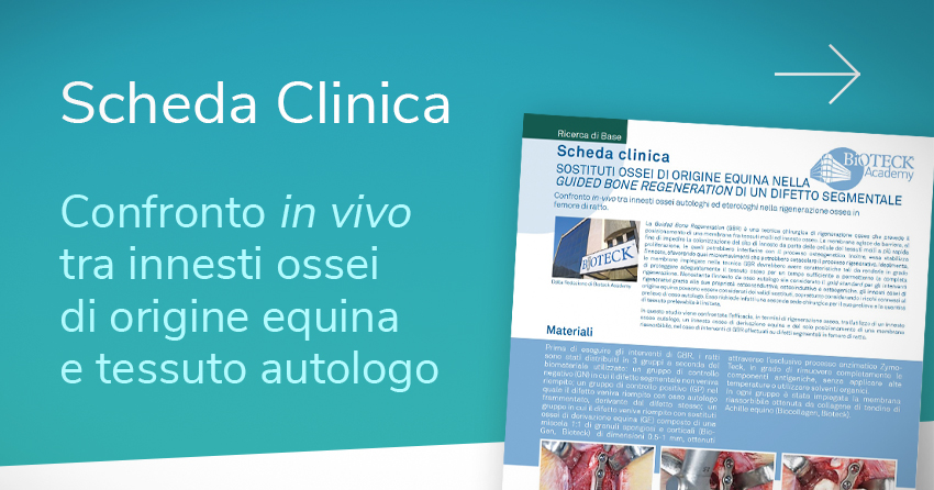 Bioteck innesti ossei