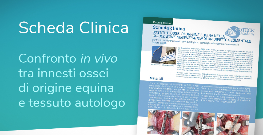 Bioteck innesti ossei